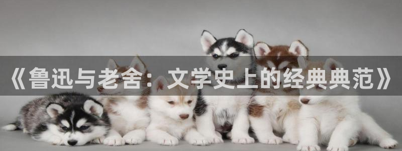 七猫免费小说