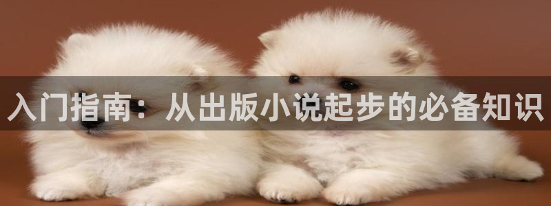 下载七猫小说免费阅读