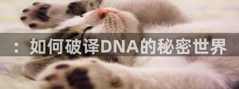 七猫网页