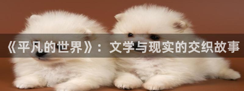 七猫官网
