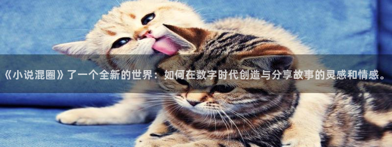 七猫免费小说apk